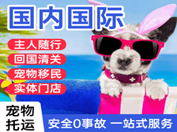 西宁曹家堡空运地址国际宠物托运 【国